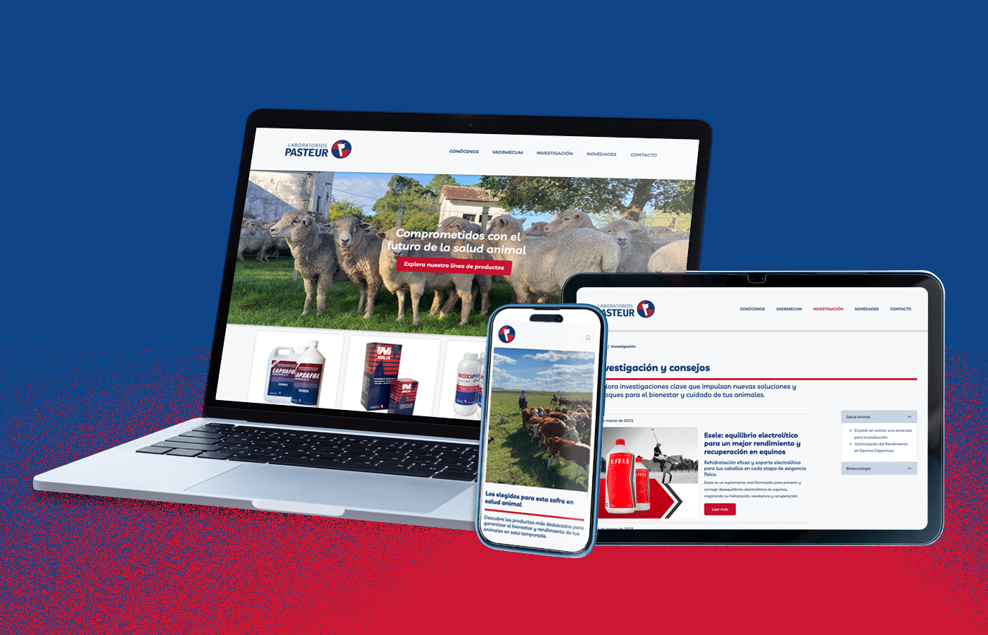 Rediseño del sitio web de Laboratorios Pasteur